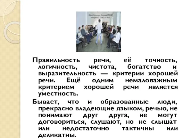 Правильность речи, её точность, логичность, чистота, богатство и выразительность — критерии