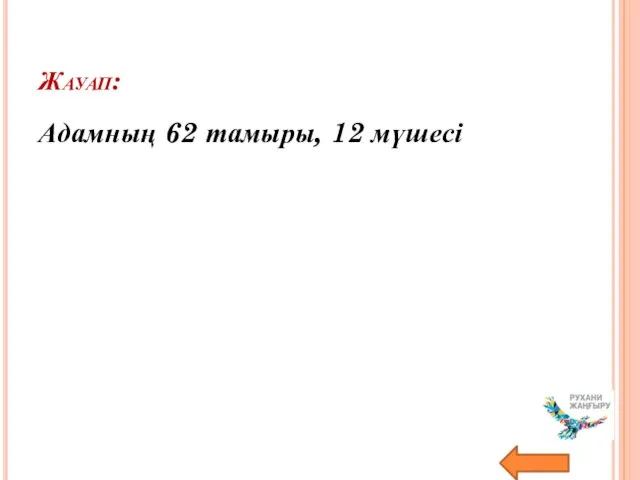 Жауап: Адамның 62 тамыры, 12 мүшесі