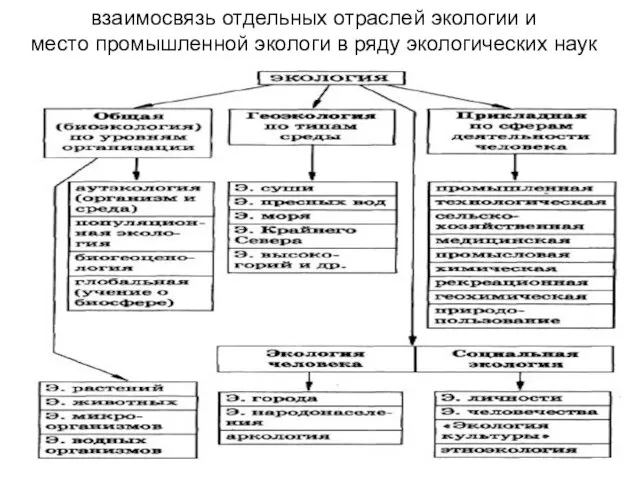 взаимосвязь отдельных отраслей экологии и место промышленной экологи в ряду экологических наук