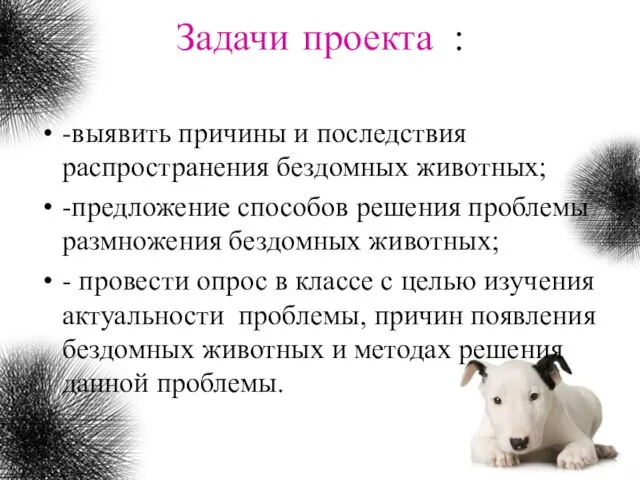 Задачи проекта : -выявить причины и последствия распространения бездомных животных; -предложение