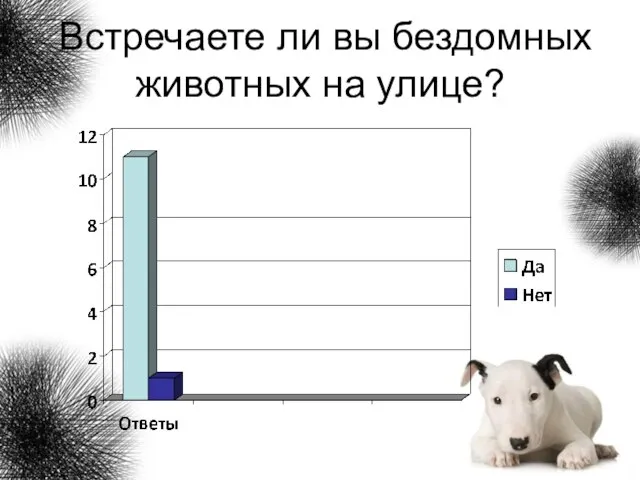 Встречаете ли вы бездомных животных на улице?