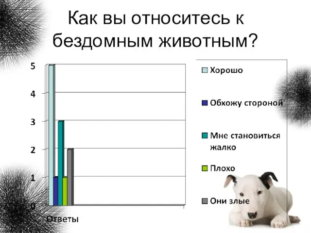 Как вы относитесь к бездомным животным?