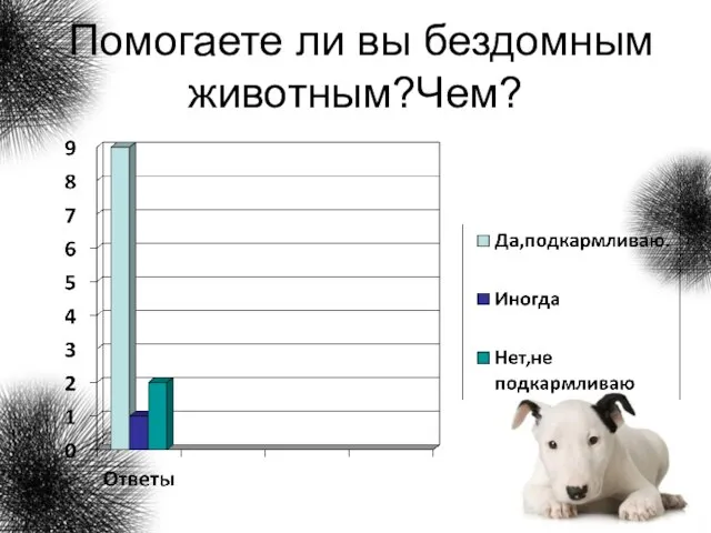 Помогаете ли вы бездомным животным?Чем?