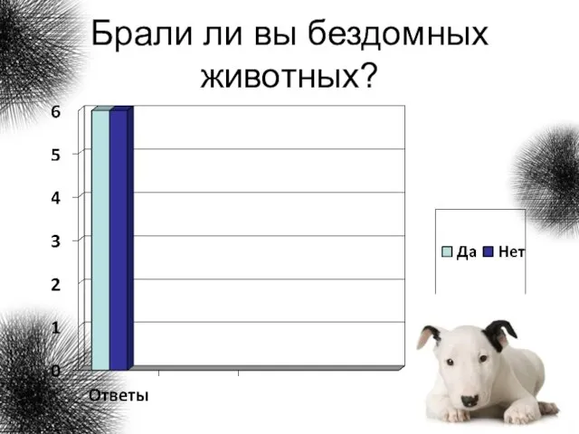 Брали ли вы бездомных животных?