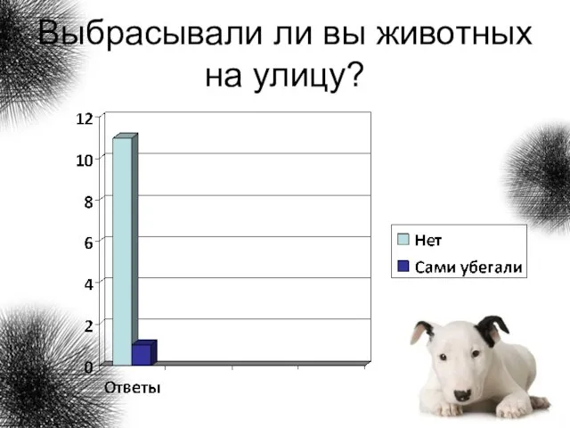 Выбрасывали ли вы животных на улицу?