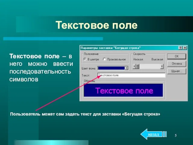 Текстовое поле Текстовое поле – в него можно ввести последовательность символов