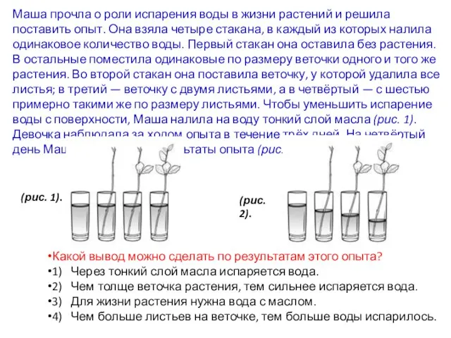 Маша прочла о роли испарения воды в жизни растений и решила