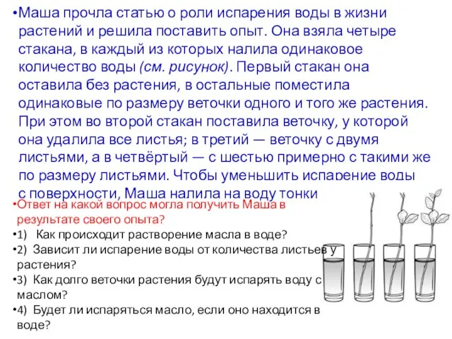 Маша прочла статью о роли испарения воды в жизни растений и