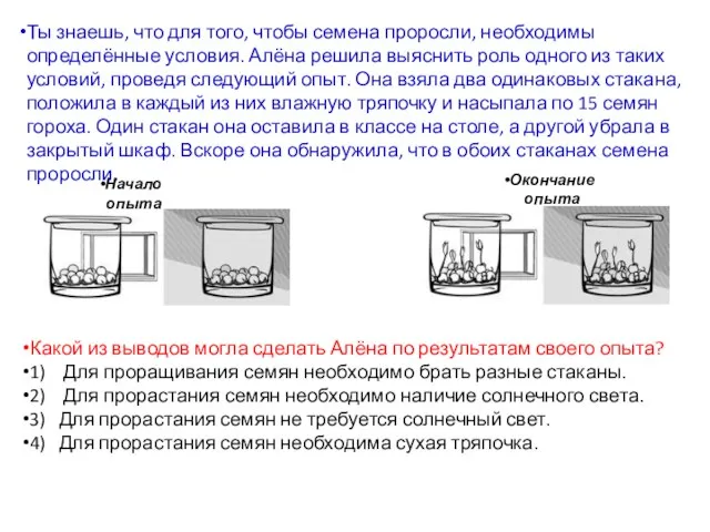 Ты знаешь, что для того, чтобы семена проросли, необходимы определённые условия.