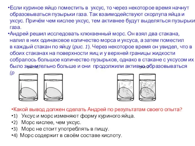 Если куриное яйцо поместить в уксус, то через некоторое время начнут