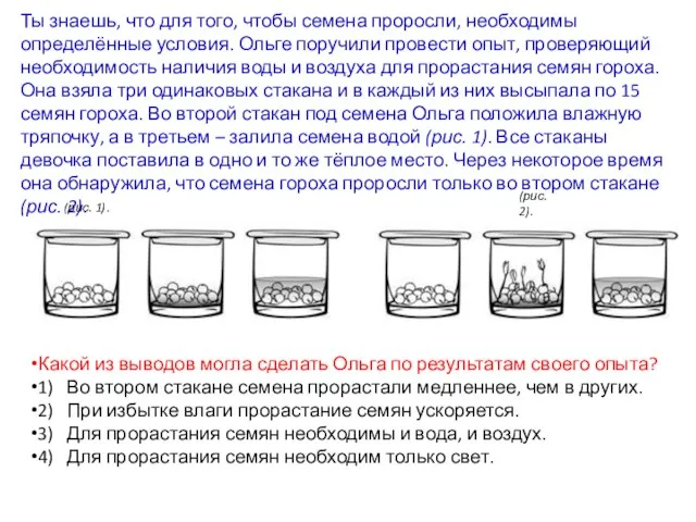 Ты знаешь, что для того, чтобы семена проросли, необходимы определённые условия.