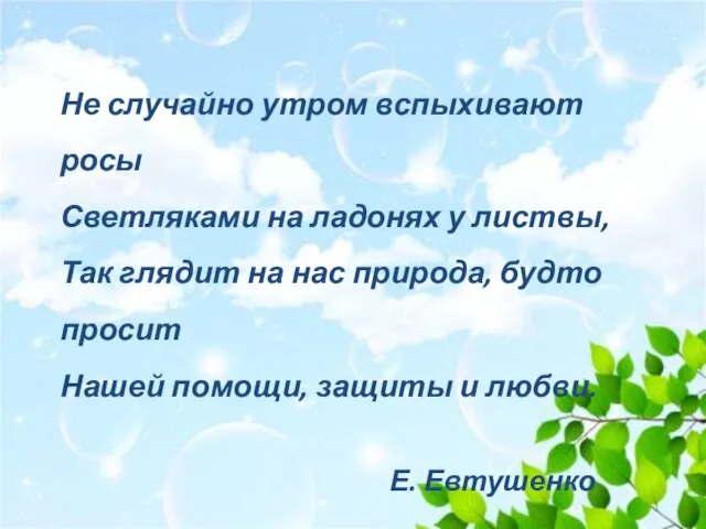 Не случайно утром вспыхивают росы Светляками на ладонях у листвы, Так