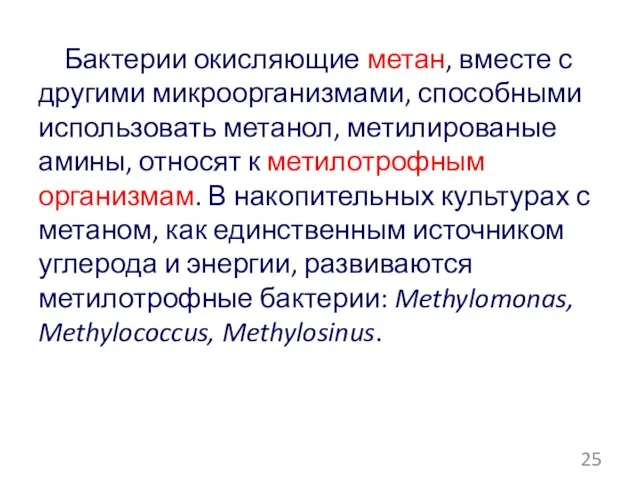 Бактерии окисляющие метан, вместе с другими микроорганизмами, способными использовать метанол, метилированые