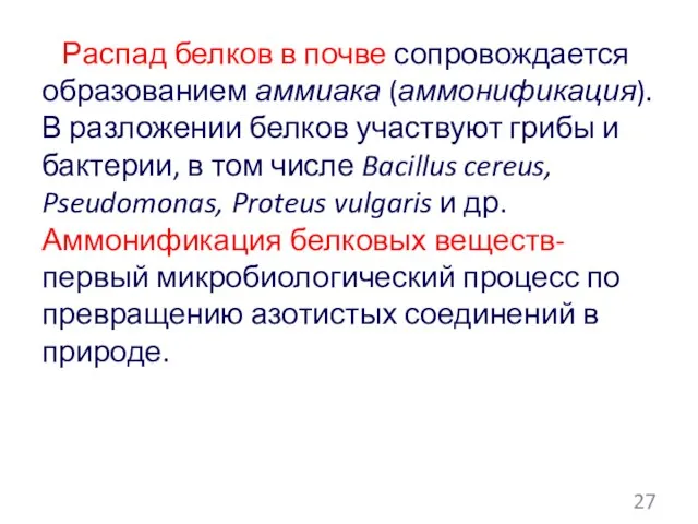 Распад белков в почве сопровождается образованием аммиака (аммонификация). В разложении белков