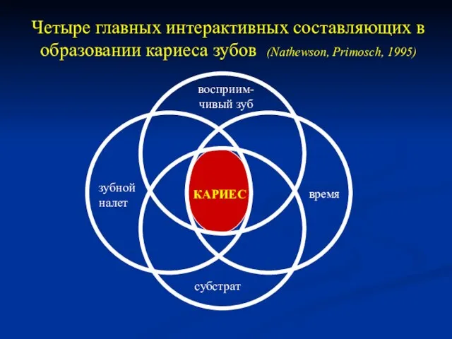 Четыре главных интерактивных составляющих в образовании кариеса зубов (Nathewson, Primosch, 1995)