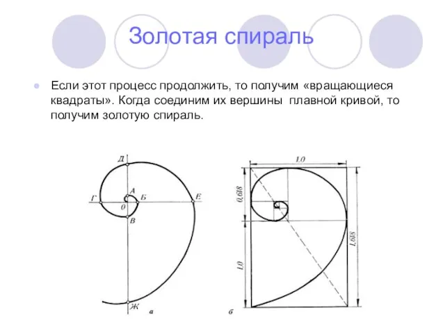 Золотая спираль Если этот процесс продолжить, то получим «вращающиеся квадраты». Когда