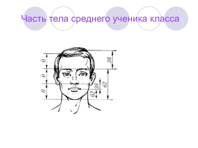 Часть тела среднего ученика класса