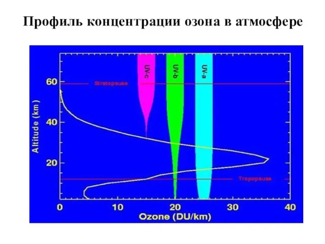 Профиль концентрации озона в атмосфере