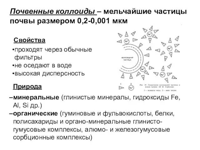 Почвенные коллоиды – мельчайшие частицы почвы размером 0,2-0,001 мкм проходят через