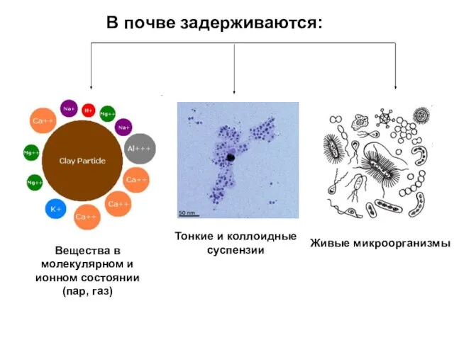 В почве задерживаются: Вещества в молекулярном и ионном состоянии (пар, газ)