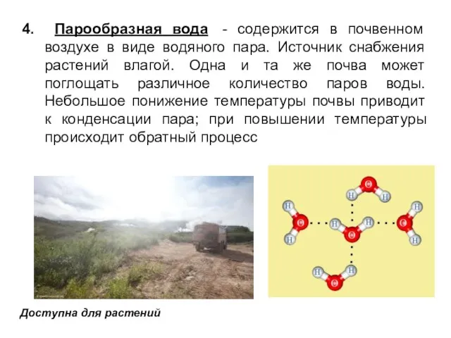 4. Парообразная вода - содержится в почвенном воздухе в виде водяного