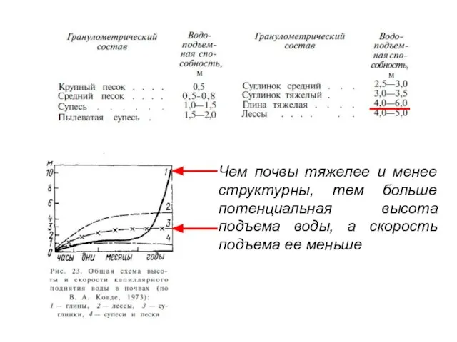 Чем почвы тяжелее и менее структурны, тем больше потенциальная высота подъема