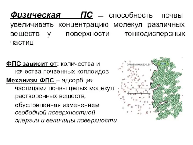 ФПС зависит от: количества и качества почвенных коллоидов Механизм ФПС –