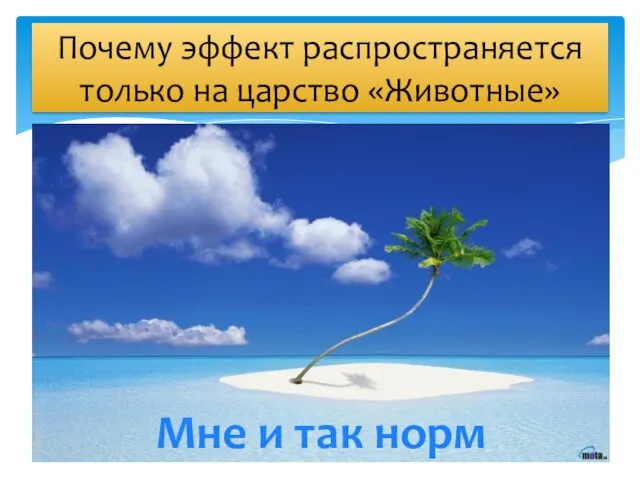 Почему эффект распространяется только на царство «Животные» Мне и так норм