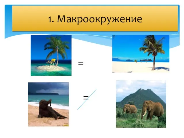 = = 1 . Микроокружение 1. Макроокружение