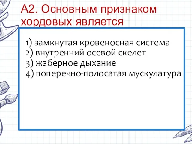 А2. Основным признаком хордовых является 1) замкнутая кровеносная система 2) внутренний