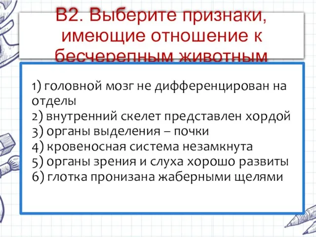 В2. Выберите признаки, имеющие отношение к бесчерепным животным 1) головной мозг