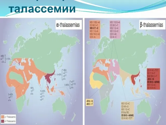 Распространение талассемии