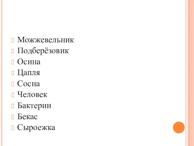 Можжевельник Подберёзовик Осина Цапля Сосна Человек Бактерии Бекас Сыроежка