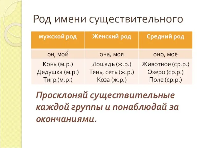 Род имени существительного Просклоняй существительные каждой группы и понаблюдай за окончаниями.