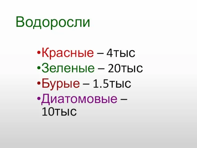 Водоросли Красные – 4тыс Зеленые – 20тыс Бурые – 1.5тыс Диатомовые – 10тыс