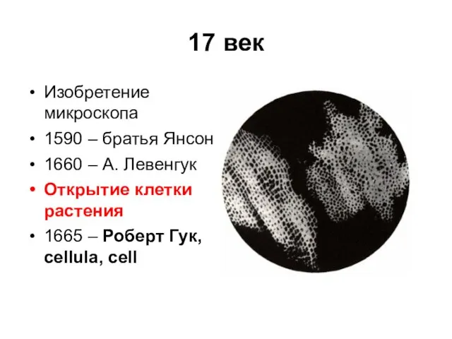 17 век Изобретение микроскопа 1590 – братья Янсон 1660 – А.