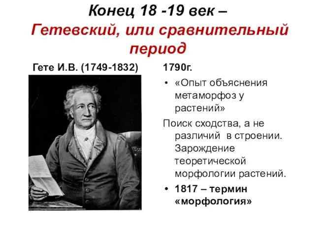 Конец 18 -19 век – Гетевский, или сравнительный период Гете И.В.