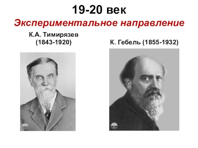 19-20 век Экспериментальное направление К.А. Тимирязев (1843-1920) К. Гебель (1855-1932)