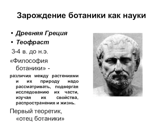 Зарождение ботаники как науки Древняя Греция Теофраст 3-4 в. до н.э.