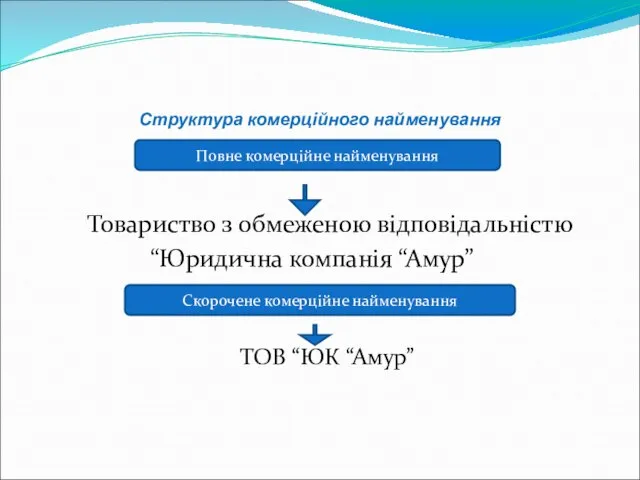 Структура комерційного найменування Товариство з обмеженою відповідальністю “Юридична компанія “Амур” ТОВ