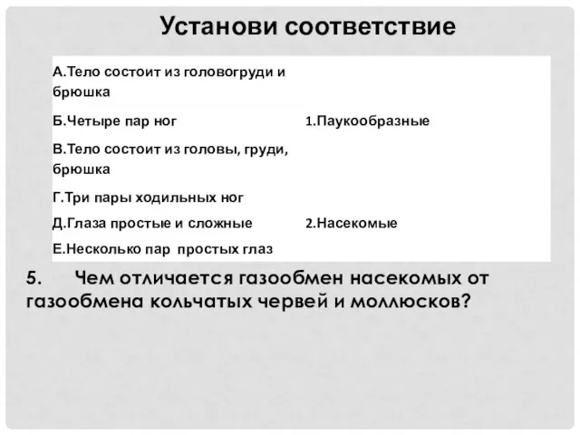 Установи соответствие 5. Чем отличается газообмен насекомых от газообмена кольчатых червей и моллюсков?