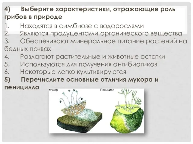 4) Выберите характеристики, отражающие роль грибов в природе 1. Находятся в