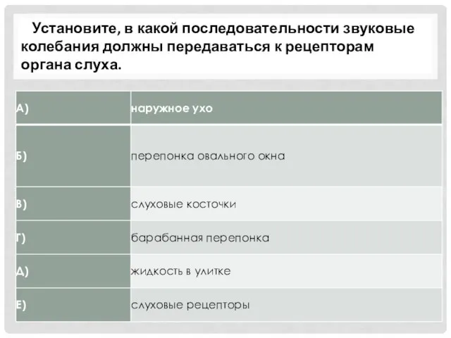 Установите, в какой последовательности звуковые колебания должны передаваться к рецепторам органа слуха.