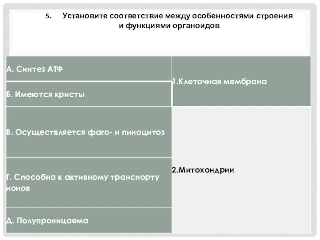 5. Установите соответствие между особенностями строения и функциями органоидов