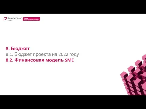 8. Бюджет 8.1. Бюджет проекта на 2022 году 8.2. Финансовая модель SME