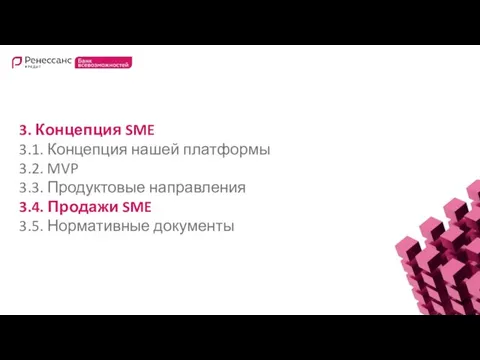 3. Концепция SME 3.1. Концепция нашей платформы 3.2. MVP 3.3. Продуктовые