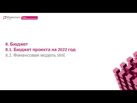 8. Бюджет 8.1. Бюджет проекта на 2022 год 8.2. Финансовая модель SME