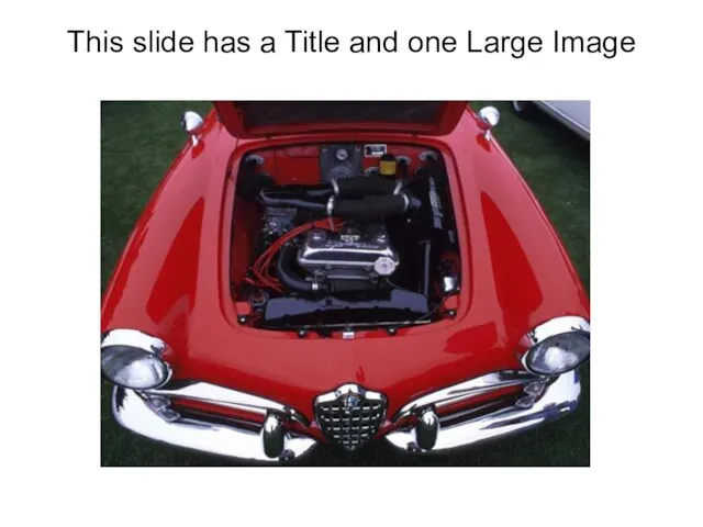 This slide has a Title and one Large Image