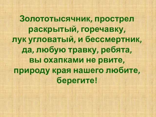 Золототысячник, прострел раскрытый, горечавку, лук угловатый, и бессмертник, да, любую травку,