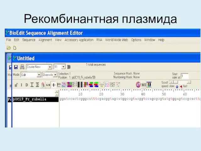 Рекомбинантная плазмида